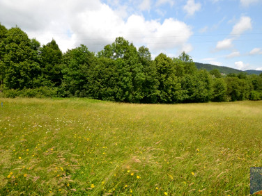 Działka budowlana Pisarzowa