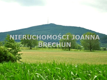 Działka budowlana Jaszowice