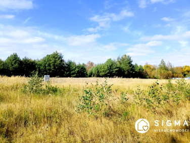 Działka budowlana Waleriany