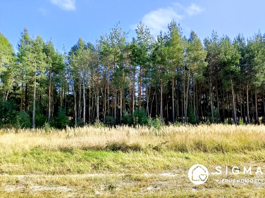 Działka budowlana Waleriany sprzedam