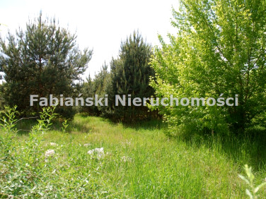 Działka budowlana Poznań