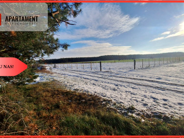 Działka rolna Boruchowo