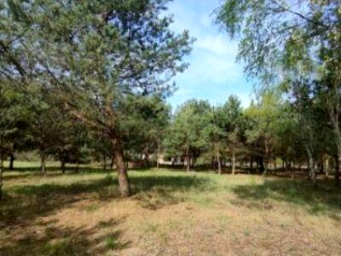 Działka Prościeniec