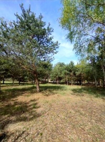 Działka Prościeniec