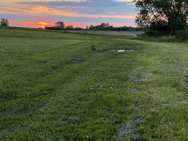 Działka budowlana Górkło