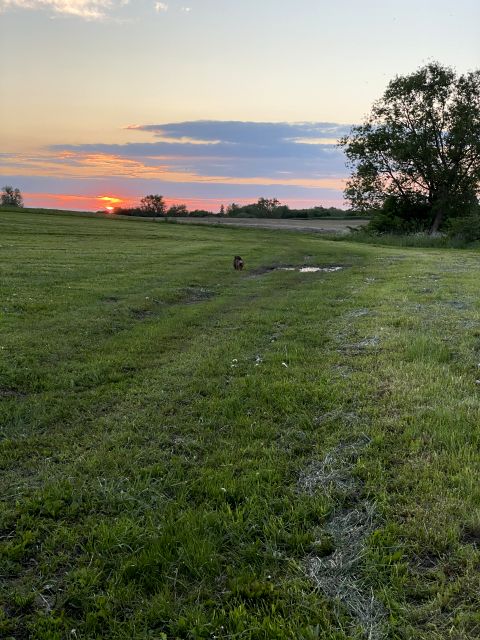 Działka budowlana Górkło