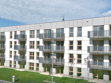 Mieszkanie Chorzów sprzedaż