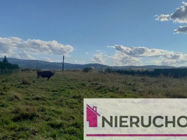 Działka budowlana Mościsko
