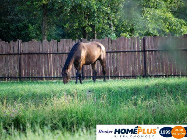 Działka inna Nowe Załubice