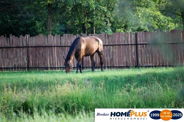 Działka inna Nowe Załubice