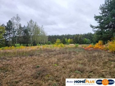 Działka budowlana Nowe Załubice