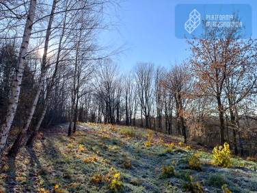 Mieszkanie apartamentowiec przy lesie