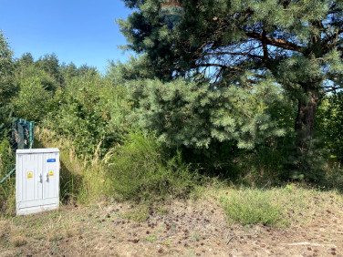 Działka budowlana Natalin