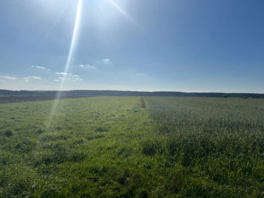 Działka rolna Łąka