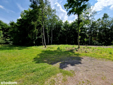 Działka budowlana Zabrze