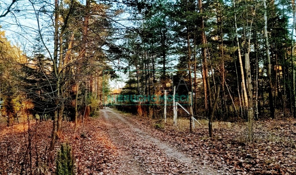 Działka Wolica