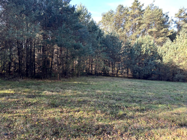 Działka budowlana Łosienek