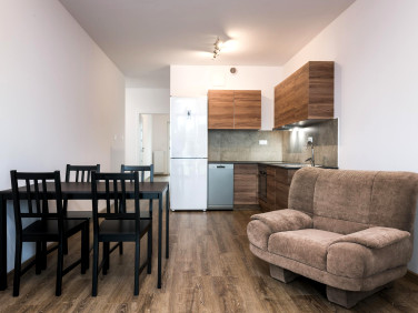 Mieszkanie apartamentowiec wynajem