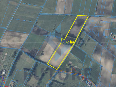 Działka rolna Stare Polichno