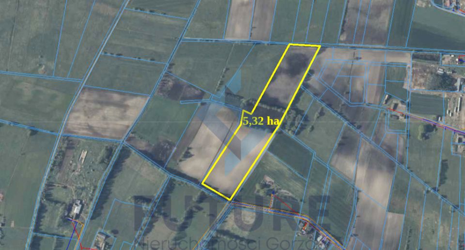 Działka rolna Stare Polichno