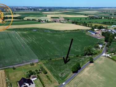 Działka rolna Piecki