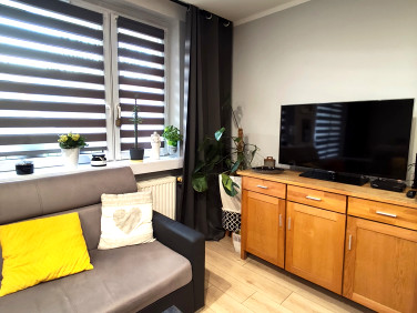 Mieszkanie Wodzisław Śląski