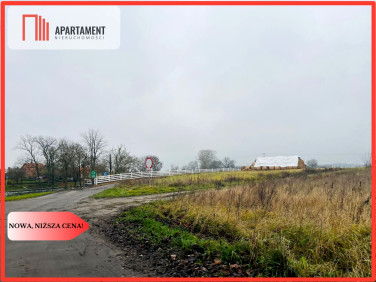 Działka inna Lisi Ogon