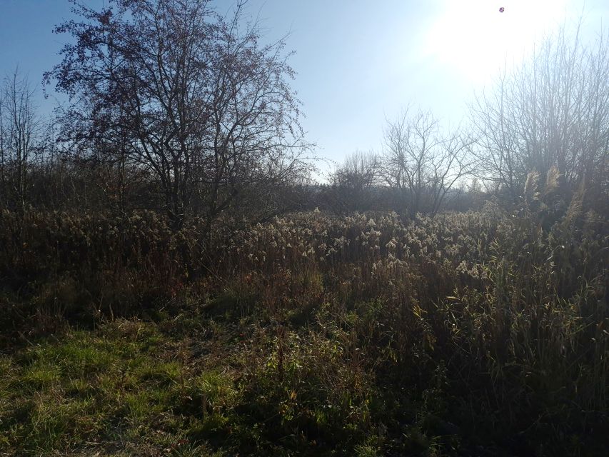 Działka rolna Kraków