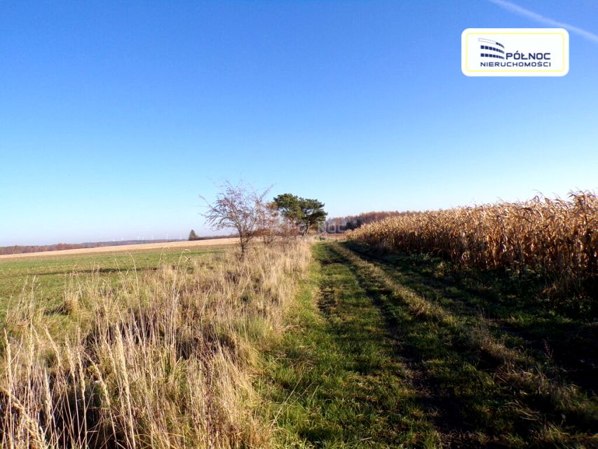 Działka siedliskowa Machowino