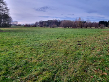 Działka rolna Gryfice sprzedam