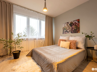 Mieszkanie Krasnystaw