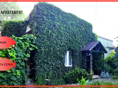 Dom Aleksandrów Kujawski