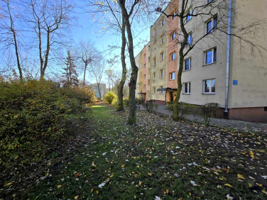 Mieszkanie Tomaszów Mazowiecki