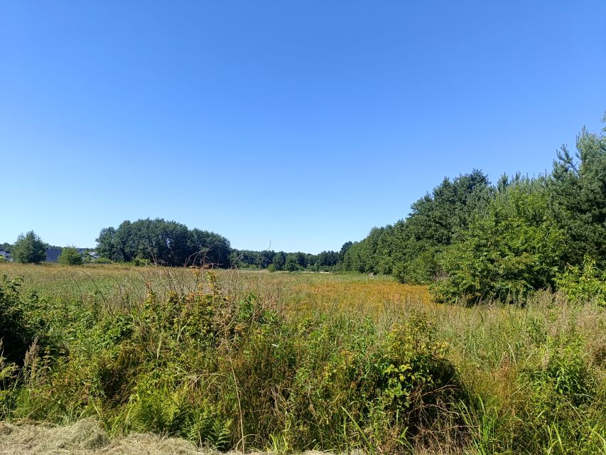 Działka budowlana Orzesze