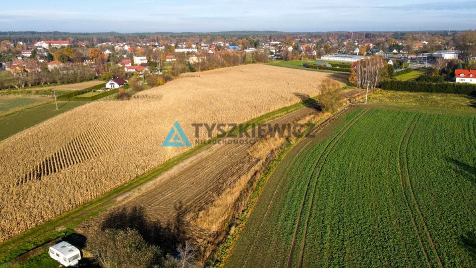 Zdjęcie 2