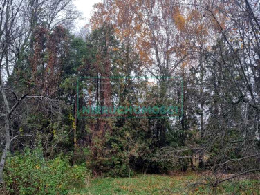 Działka budowlana sprzedam