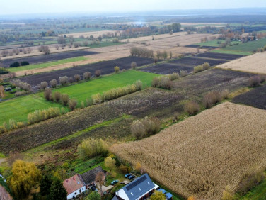 Działka budowlano-rolna Krzewsk