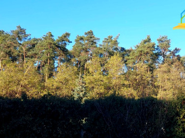 Zabudowana działka Marylka