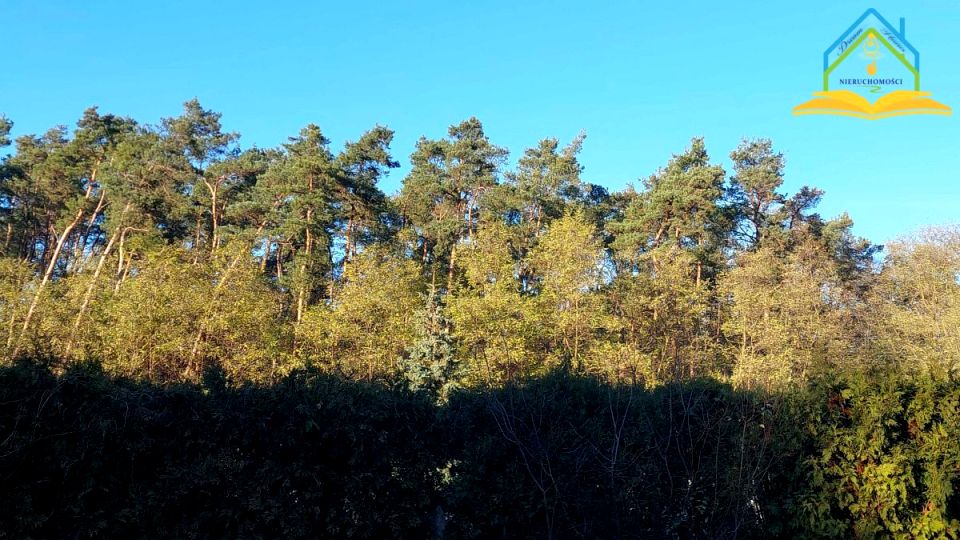 Zabudowana działka Marylka