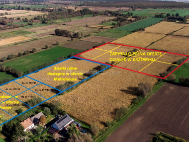 Działka budowlano-rolna Krzewsk