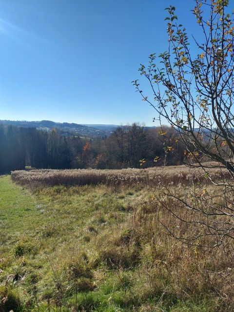 Działka rolna Ciężkowice