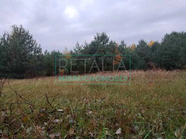 Działka budowlana Korytów A