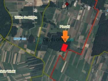 Działka leśna Ptaszki