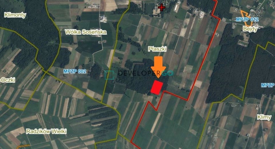 Działka leśna Ptaszki