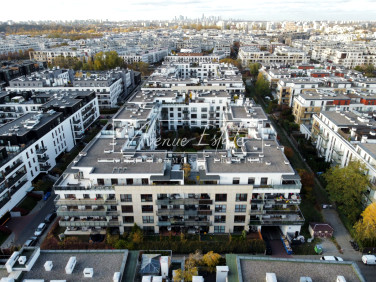 Mieszkanie dom wolnostojący sprzedaż