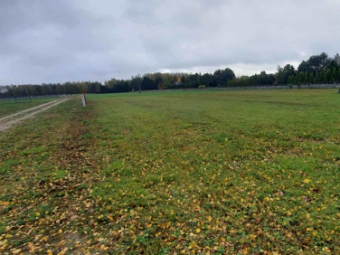 Pusta działka Zosin