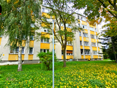 Mieszkanie Kruszwica