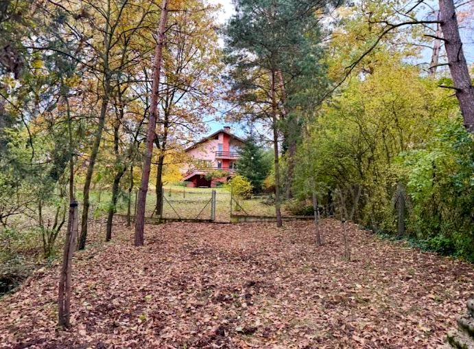 Dom wolnostojący sprzedaż