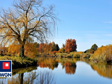 Działka rolna Sokołowice sprzedam