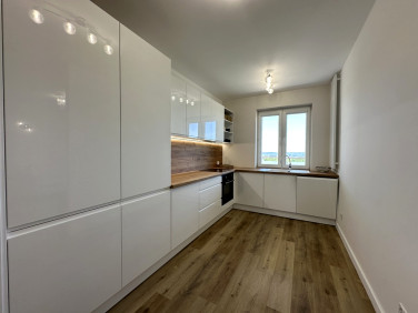 Mieszkanie Tarnobrzeg sprzedaż